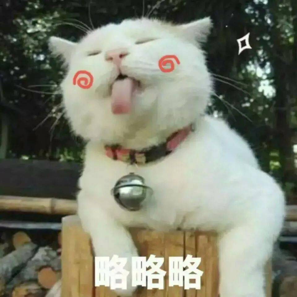 猫听力范围是人的三倍，原来我家猫是故意不理我？！