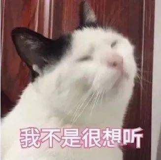 猫听力范围是人的三倍，原来我家猫是故意不理我？！