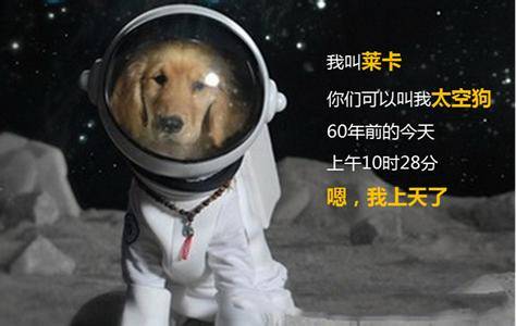 它是第一个升入太空的地球生物，从“壮士”到“烈士”，只历时5小时