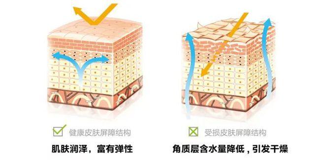 别只看到肉体，这才是她最性感的演出