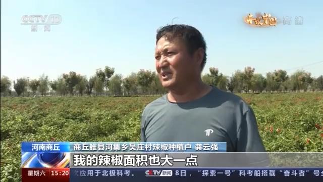 瓜果满园粮满仓 金秋时节好“丰”光！来看祖国各地丰收胜景→