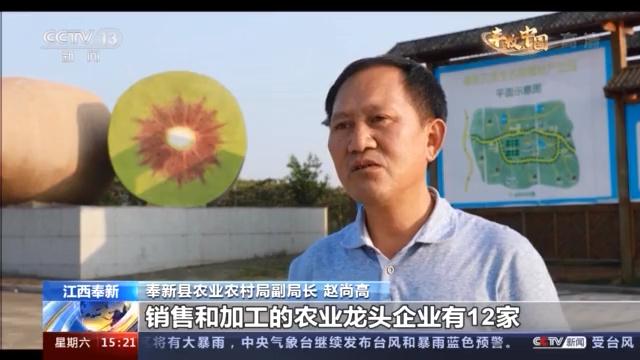 瓜果满园粮满仓 金秋时节好“丰”光！来看祖国各地丰收胜景→