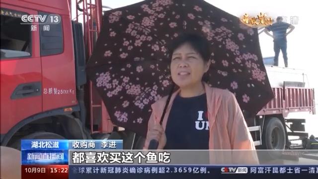 瓜果满园粮满仓 金秋时节好“丰”光！来看祖国各地丰收胜景→