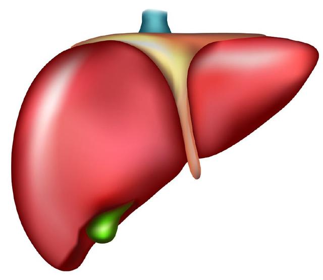 肝脏是否健康，看看中指就知道？肝胆医生：若有这3处异常，早做检查