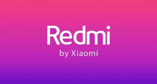 Redmi K50系列再爆料，1亿像素和5000mAh电池只是标配