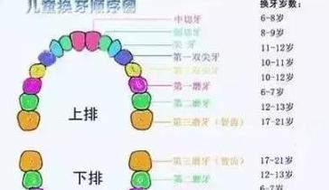 “乳牙还能救命”，怪不得老一辈不让扔，你家宝宝的乳牙还在吗？