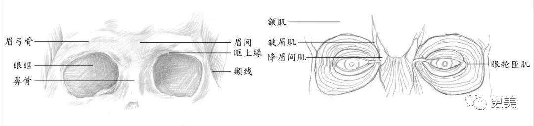 当小鞠失去半永久野生眉…