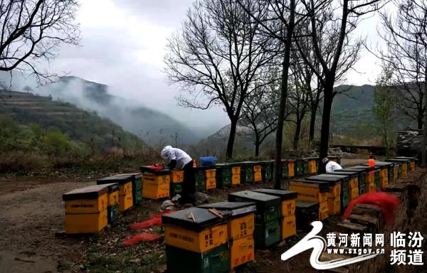 翼城县：黄家垣村赵艳萍致富路上“蜂”景独好