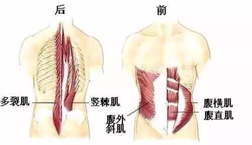 腰疼得直不起腰？这五个动作专治腰肌劳损