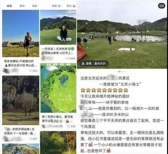 网红种草套路深？这届年轻人已经学会了“反种草”