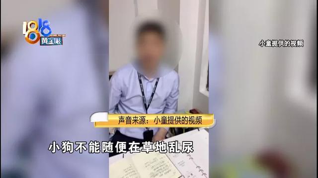 法斗犬疑似被小区灯柱电伤，物业回应：没有漏电