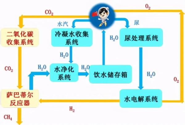 美女航天员王亚平：生理期怎么办？神十三16日发射，在轨6个月