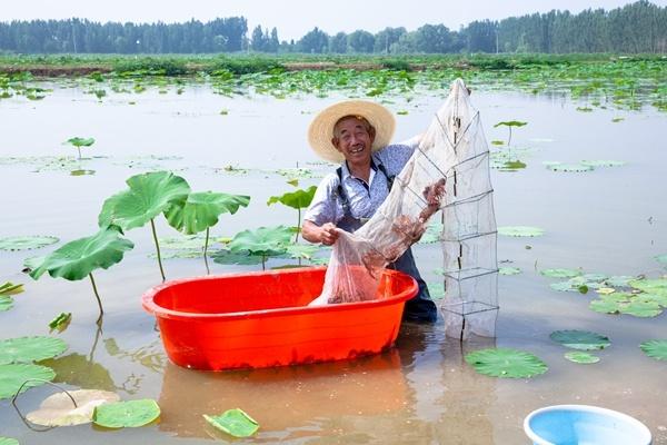 淄博高青县芦湖街道：实施“三变五合”改革 扎实推动乡村产业振兴