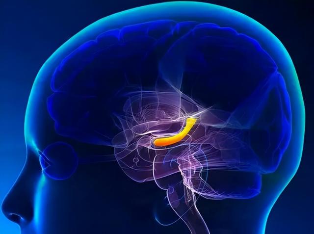 最害人的科学家：发明含铅汽油影响几代人智力，还发明了氟利昂