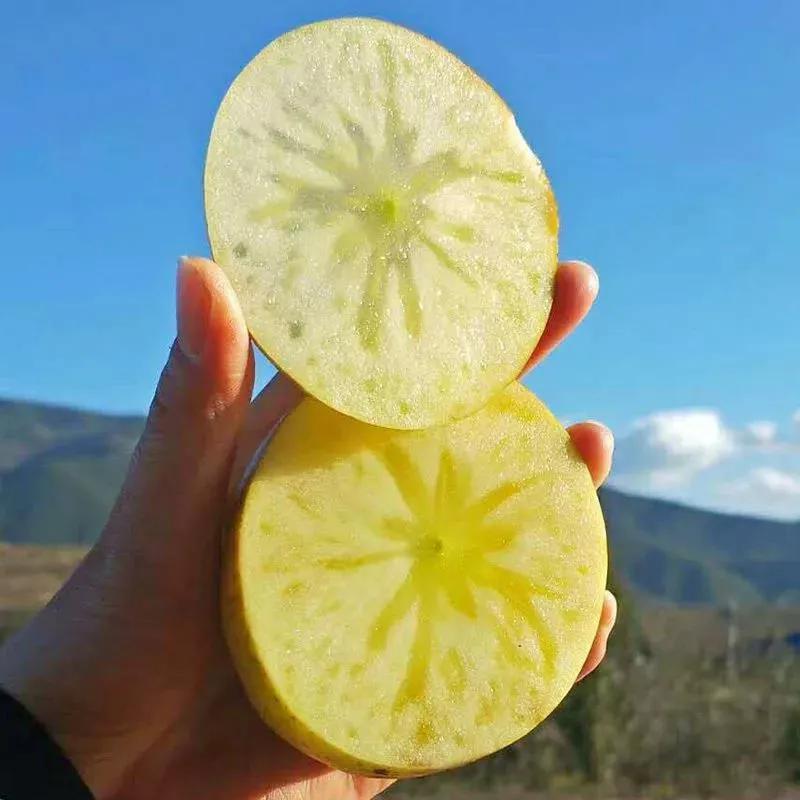 大凉山丑苹果，自然成熟的香甜，你吃过吗？