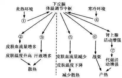 如果人类可以跑上太空，需要准备什么？