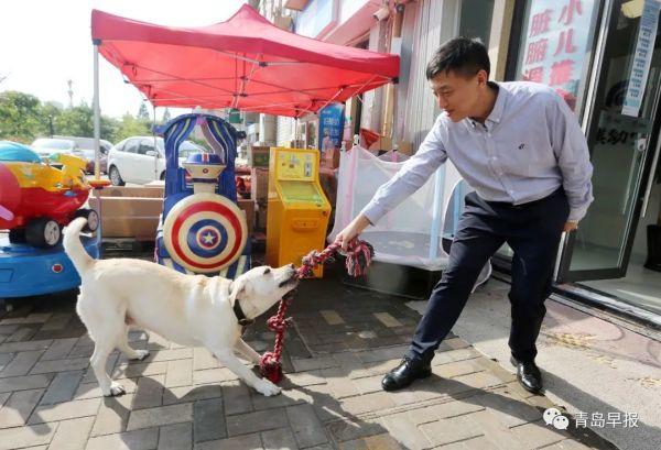 被误解它不“吭声”，听到道歉它哭了…岛城导盲犬主人讲述与爱犬的故事