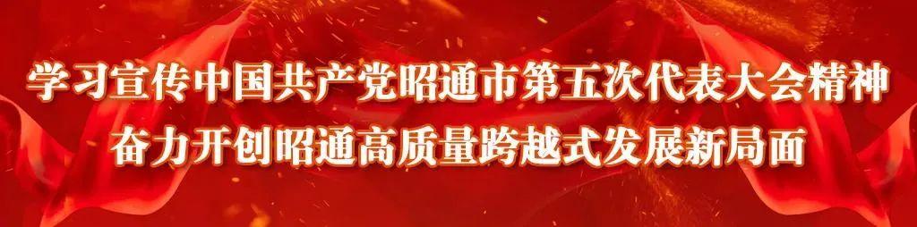 市委宣传部赴胜利村办实事，为村民送去技能“法宝”