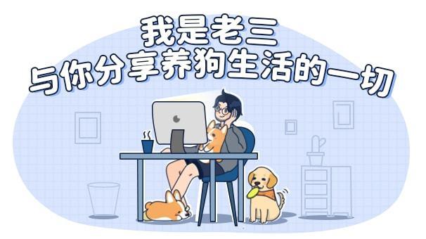 家里的傻狗跟着猫吃草，吃着吃着就吐了