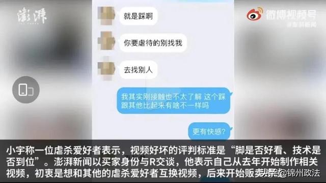 交钱就可定制虐待宠物！这般病态的“血色交易链”何时能止？