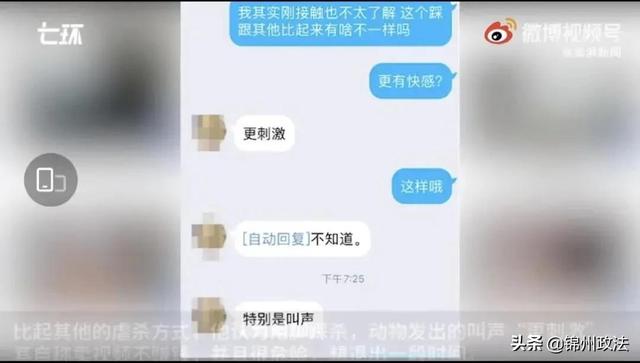 交钱就可定制虐待宠物！这般病态的“血色交易链”何时能止？