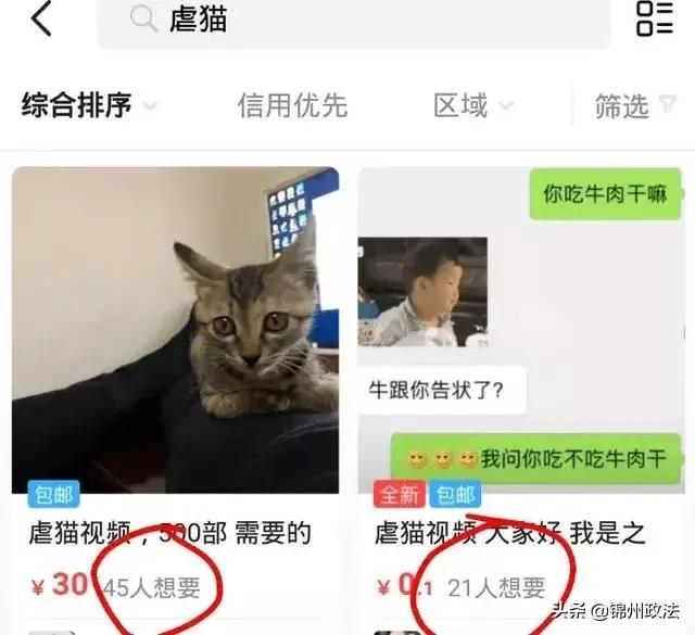 交钱就可定制虐待宠物！这般病态的“血色交易链”何时能止？