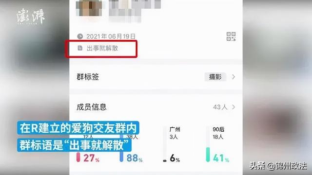 交钱就可定制虐待宠物！这般病态的“血色交易链”何时能止？