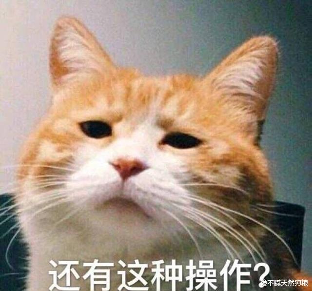 猫咪吐毛球几次正常吗？