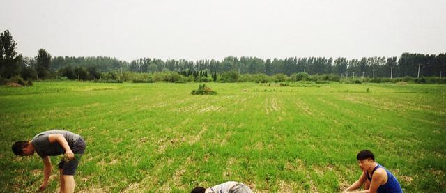 晒晒李亚鹏在河南的家，让女儿住青砖瓦顶四合院，王菲真不介意吗