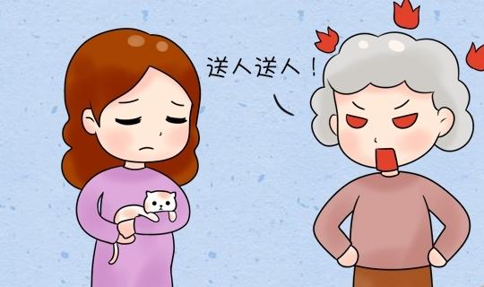 开始着手备孕，家里猫猫狗狗如何安置？做好这几件才能安心生娃