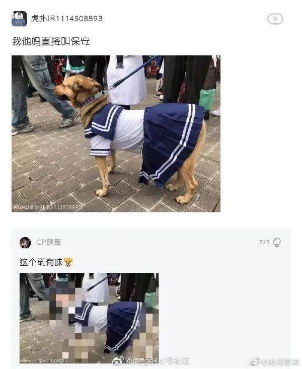 |【颜落的硬盘】今晚到底吃谁