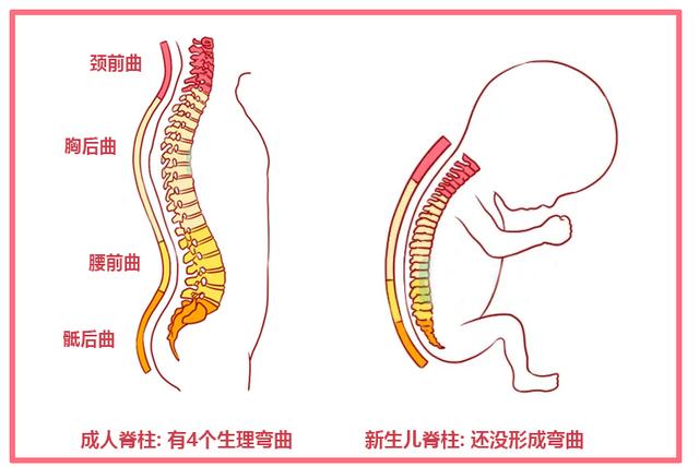 朱珠产后首晒全家福！王昀佳单手抱娃，网友：这么抱娃伤脊柱