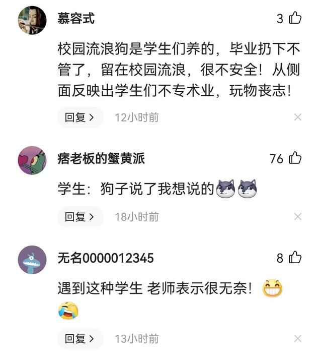 教授上课被流浪狗怒“喷”，师生反应逗笑众人，网友留言亮了