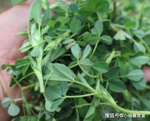 这菜是“补血小能手”，现在正新鲜，见到了别错过，补血又护肤！