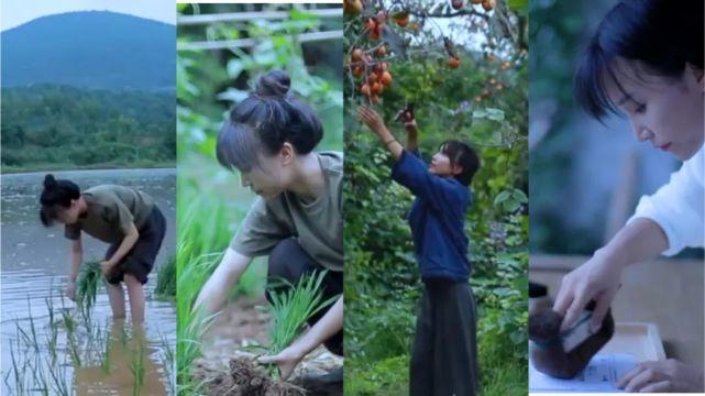 闹掰？李子柒停更三个月后，正式起诉合作伙伴杭州微念