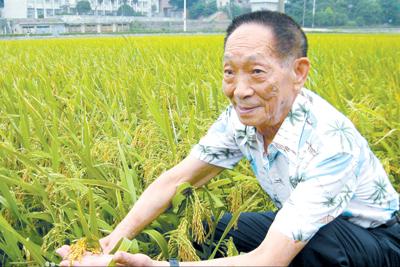 张杰受伤后的敬业态度获赞誉，却惨遭圈内俩大人物实名讽刺