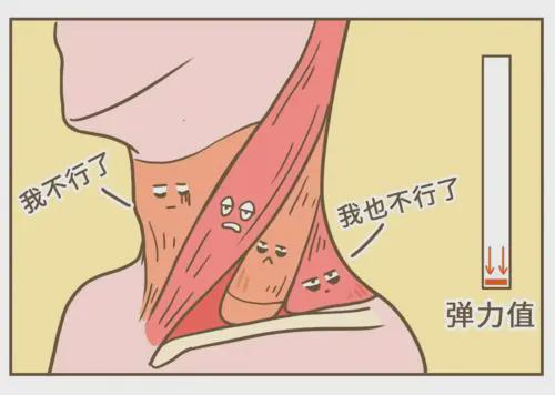 肩颈不适之——斜角肌，久坐伏案工作人士必看！