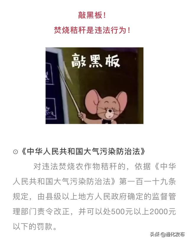 为什么要禁止焚烧秸秆！一起来看