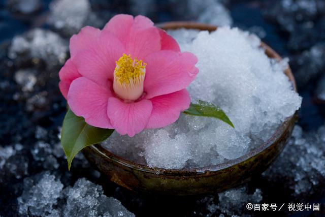 人生最好的状态就是，遵从自己的节奏，随遇而安，平步向前