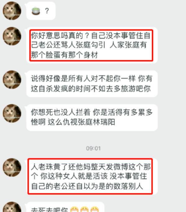 忍小三骂名十年，换来百亿身家，张庭比你想得更狠