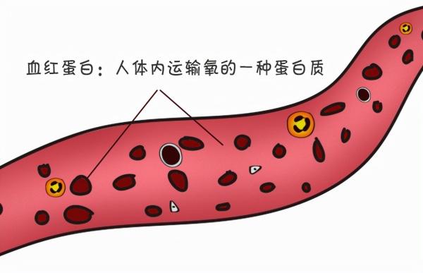 14岁男孩身高突破185，儿科医生：3种食物是秋后“助长剂”，可多吃