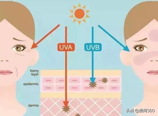 女性皮肤衰老太快，主要是这些原因造成的，一定要记在心上