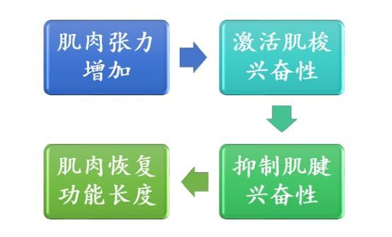 跑完步不重视肌肉放松有什么后果？最新研究结论是……