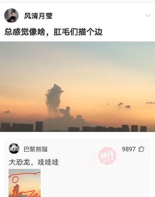 神评爆笑合集：90后夫妻一周6次“857”，不幸离世，神评才是亮点