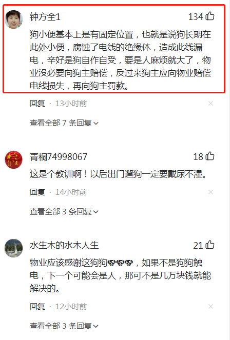 遛狗不牵绳，路灯杆撒尿不料被电死，索赔最终结果来了