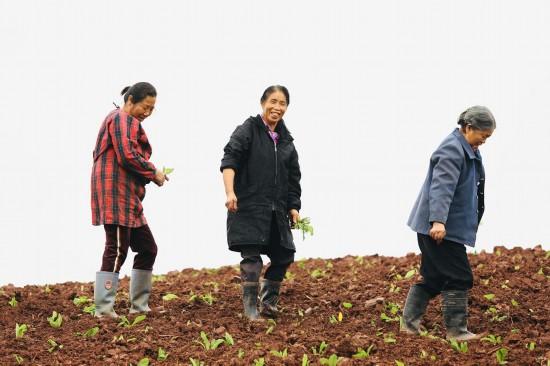 余庚友：盘活撂荒地 让村民腰包鼓起来