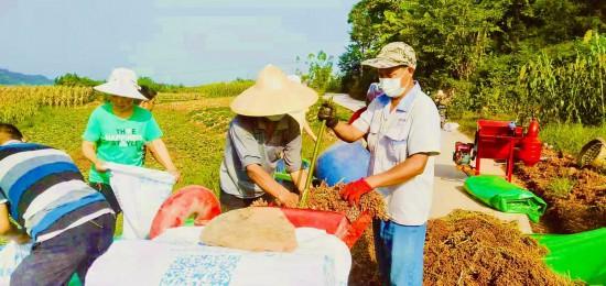 余庚友：盘活撂荒地 让村民腰包鼓起来