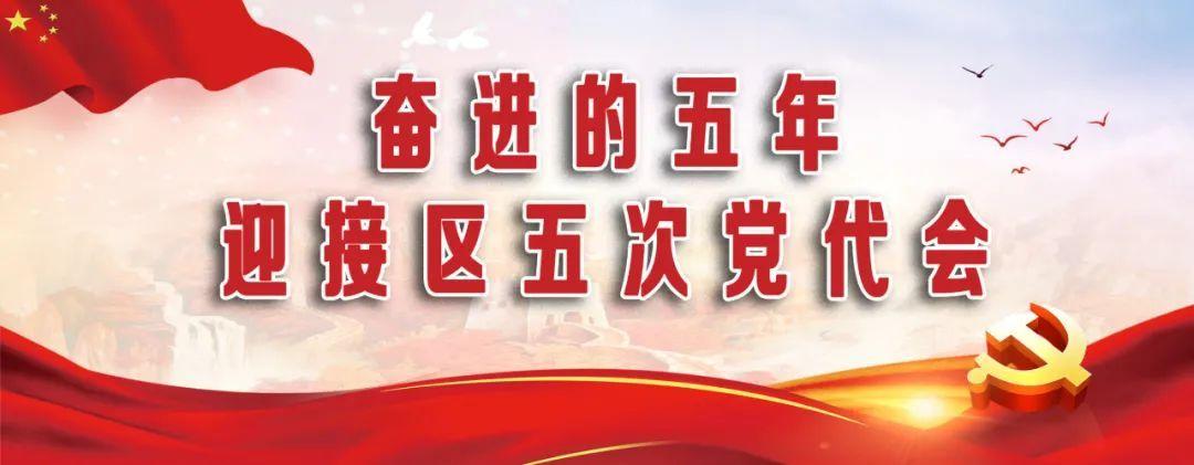 党建引领点燃红色引擎， 三园建设推动吴房振兴 | 迎接区党代会