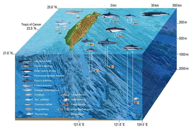 海洋探索其实比太空探索更困难：深海10000米究竟有多恐怖？