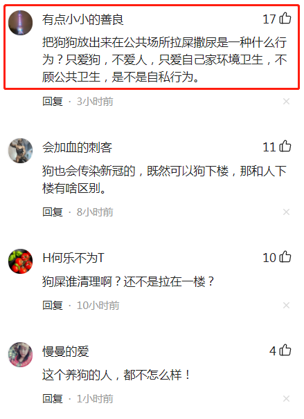 女子用床单在楼上远程遛狗，不习惯在家“如厕”憋得难受？引热议